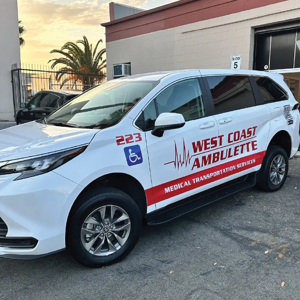 Mini Van Vehicle Wrap – Printesta