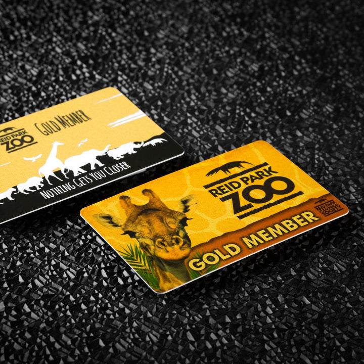 Plastic Business Cards - Printesta